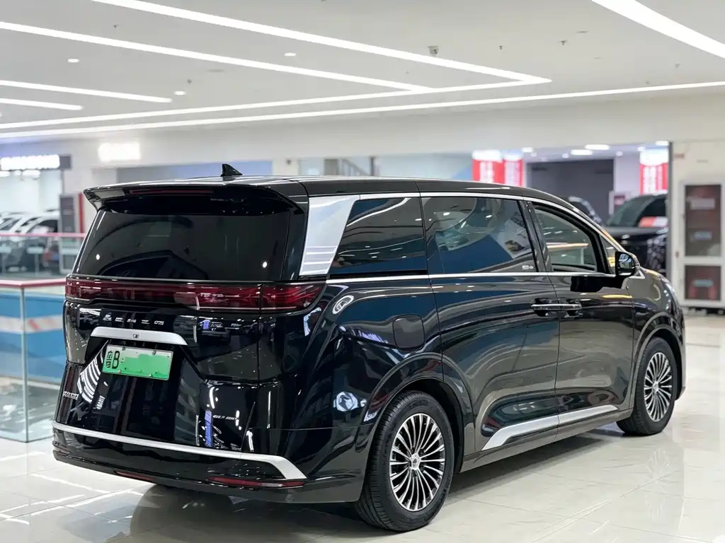 Denza Denza D9 — миниатюра 4