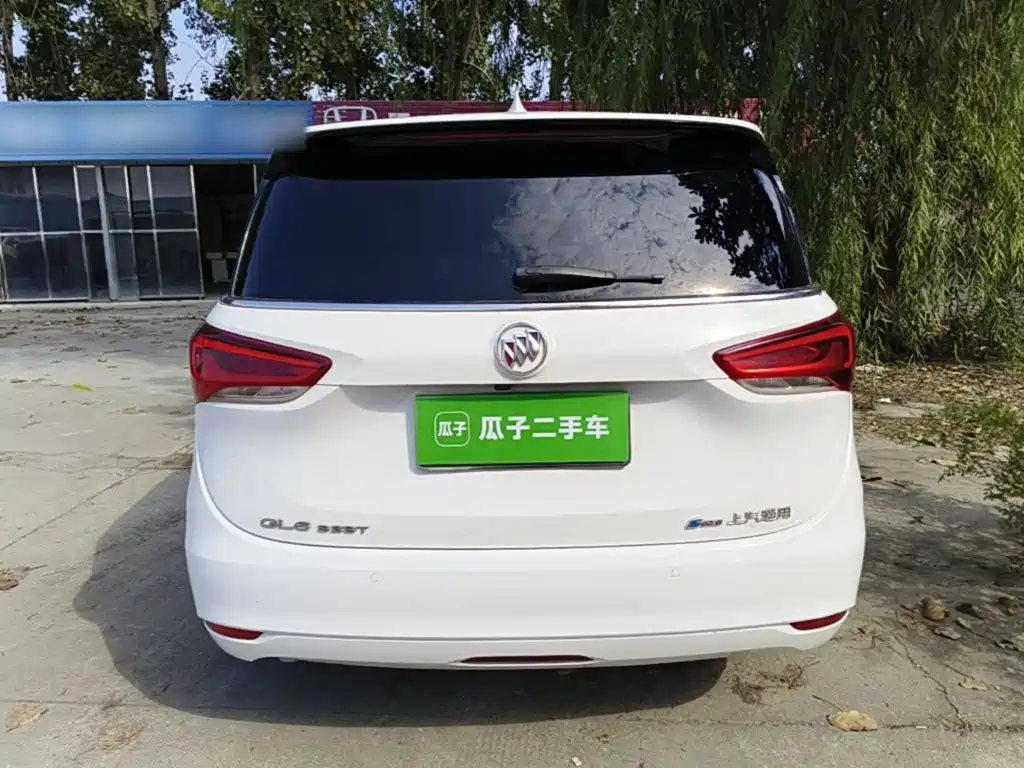 Buick GL6 — миниатюра 6