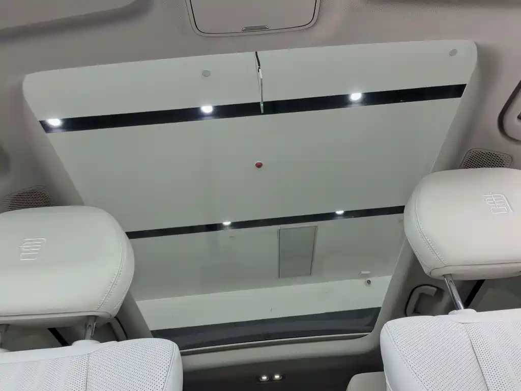 BYD Дон Л. — миниатюра 12