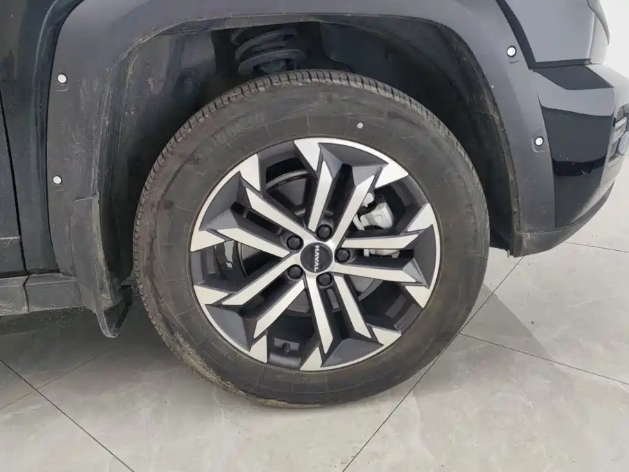 Haval Big Dog PLUS — миниатюра 6