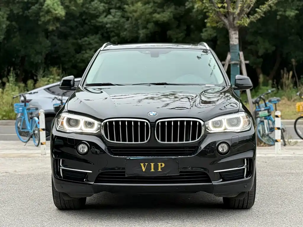 BMW X5 (Import) — миниатюра 2