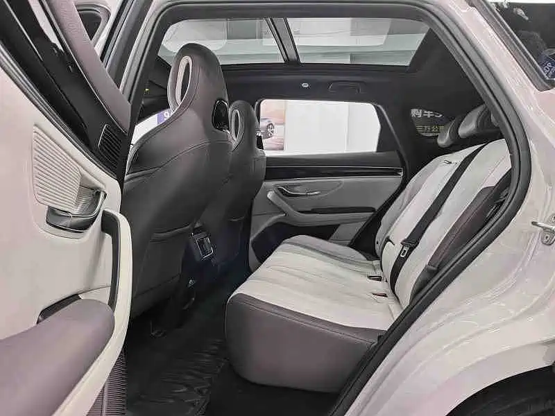 BYD PLUS New Energy — миниатюра 6