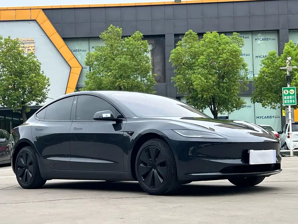Tesla Model 3 — миниатюра 3