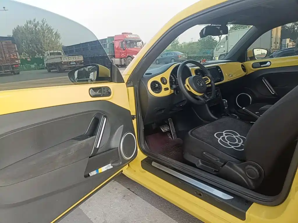 Volkswagen Beetle — миниатюра 16