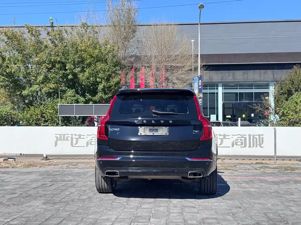Volvo XC90 — миниатюра 4
