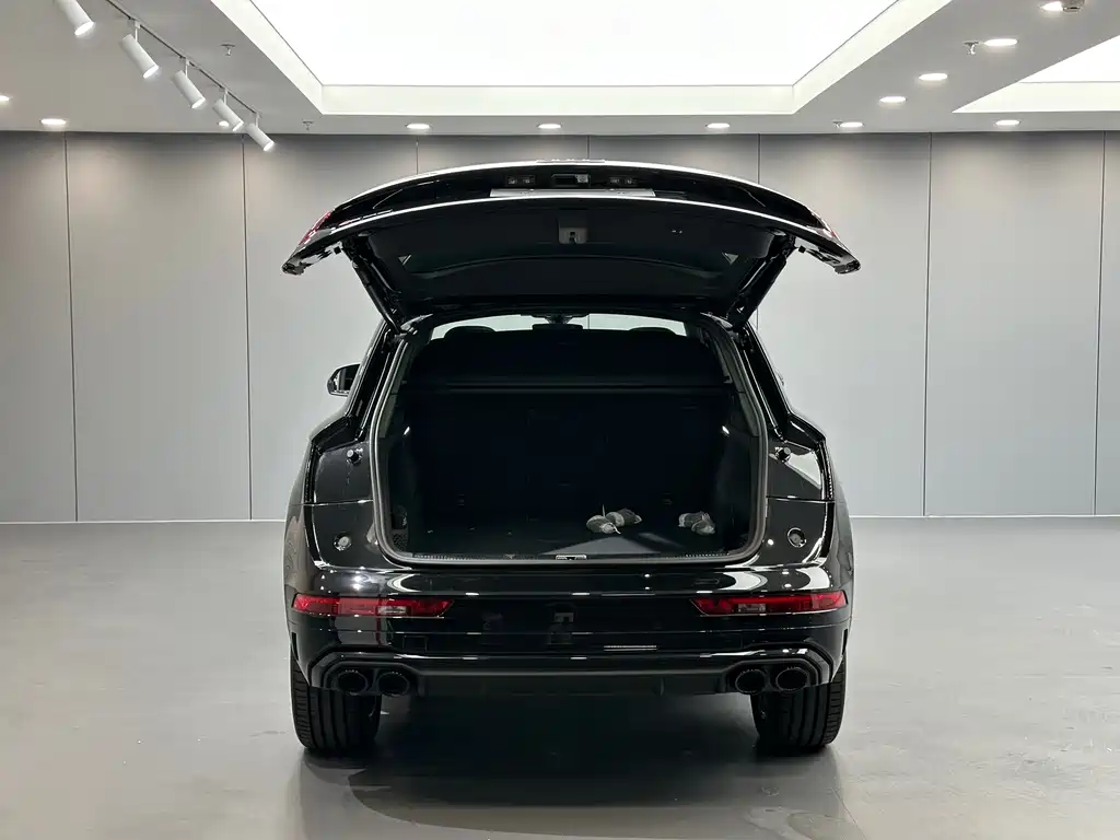 Audi SQ5 — миниатюра 31