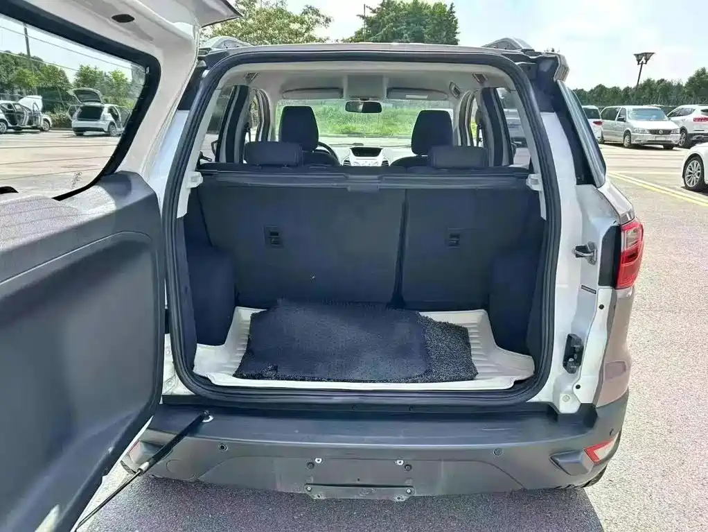Ford Ecosport — миниатюра 5