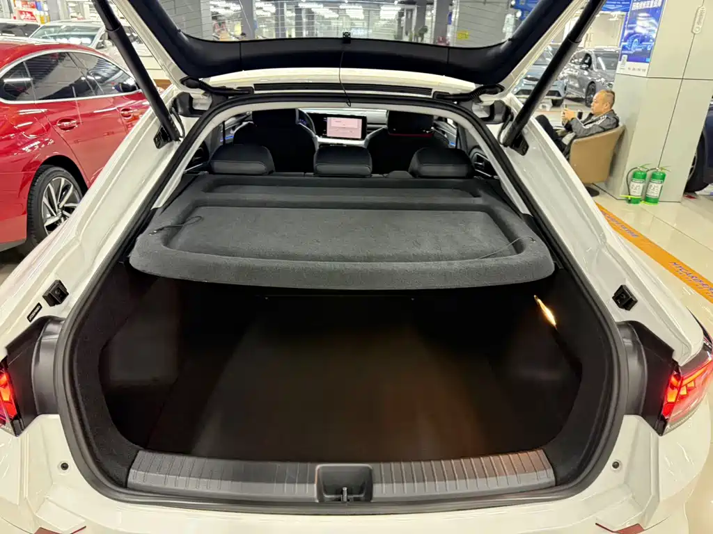 Volkswagen Lamando — миниатюра 11