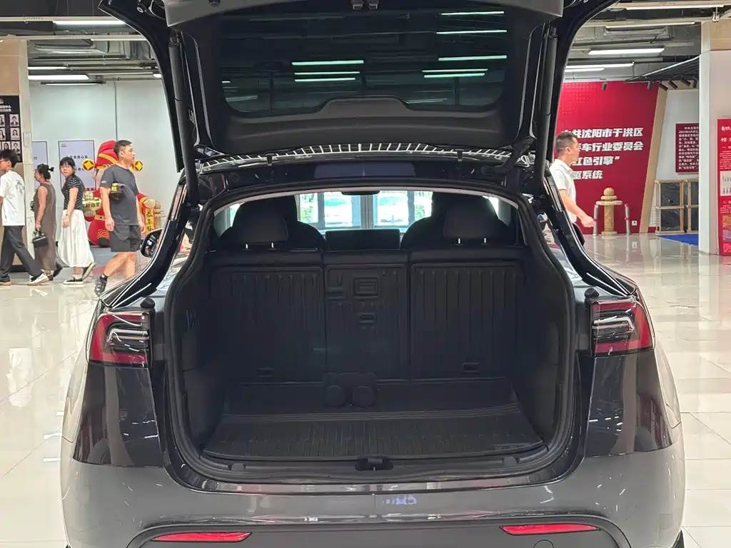 Tesla Model Y — миниатюра 9