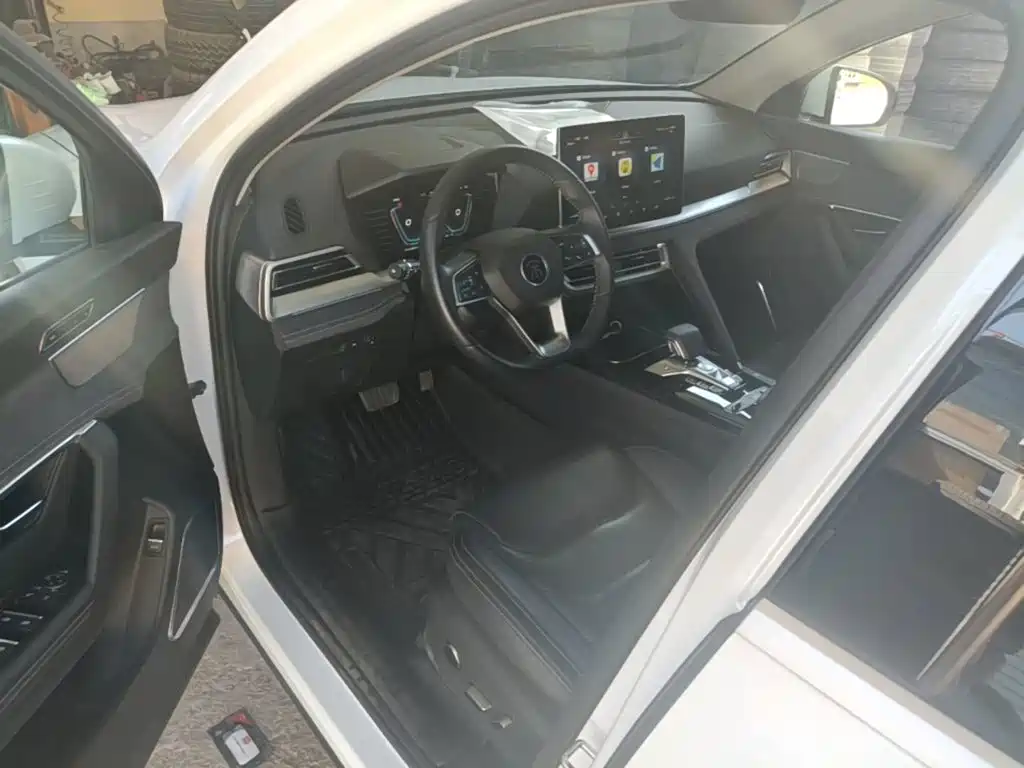 BYD Pro New Energy — миниатюра 16