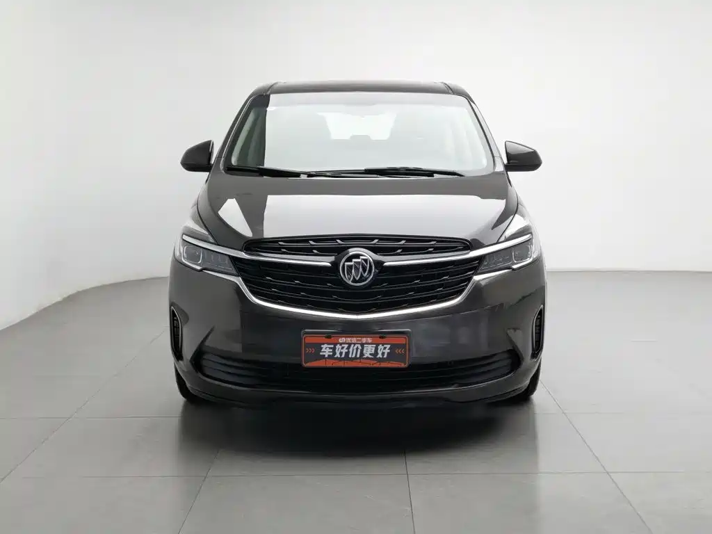 Buick GL8 — миниатюра 3