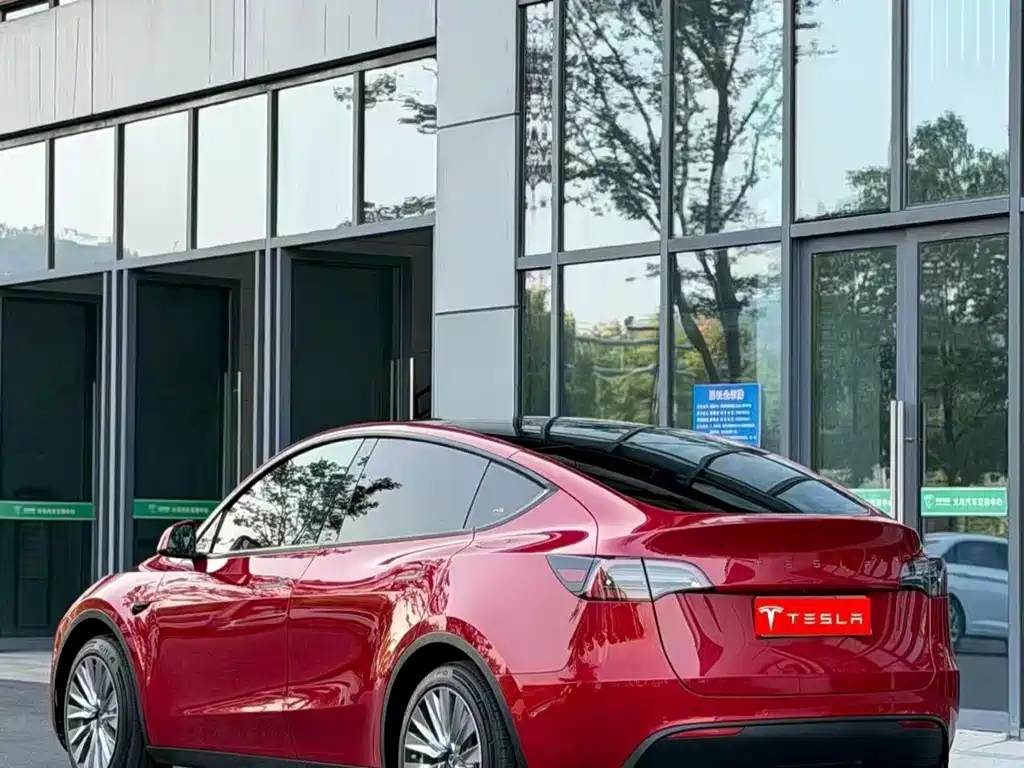 Tesla Model Y — миниатюра 3