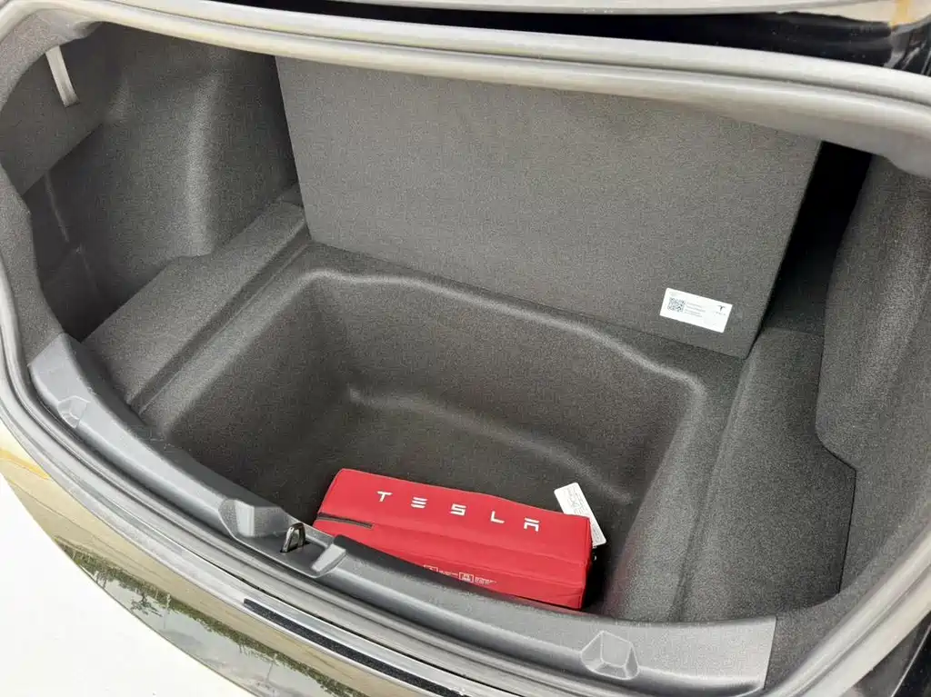 Tesla Model 3 — миниатюра 19