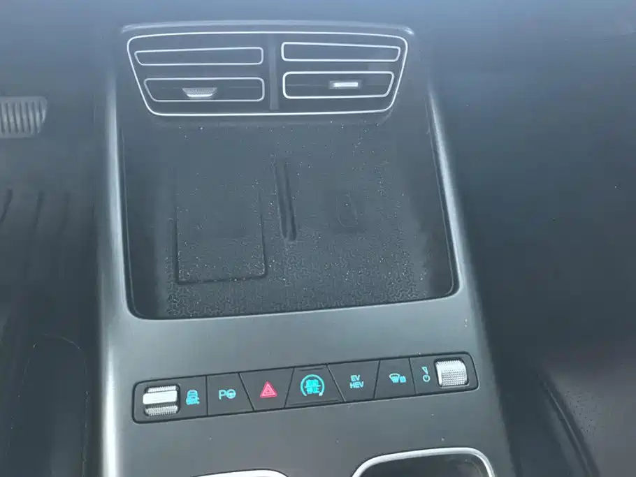 BYD Pro New Energy — миниатюра 16
