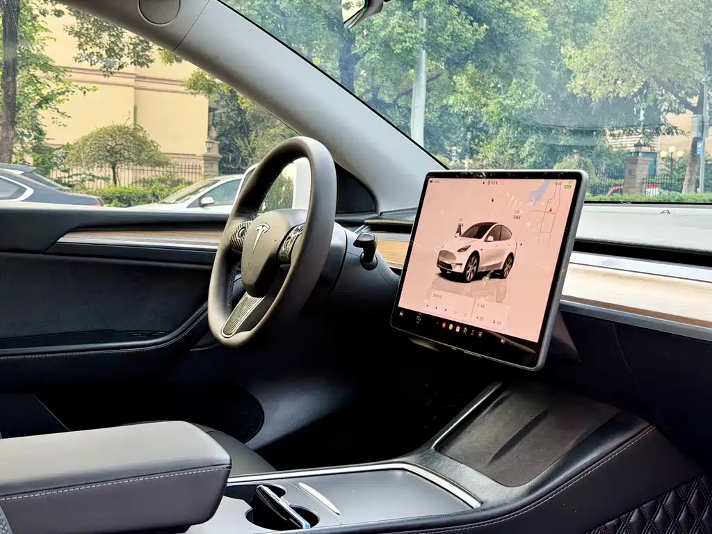 Tesla Model Y — миниатюра 9