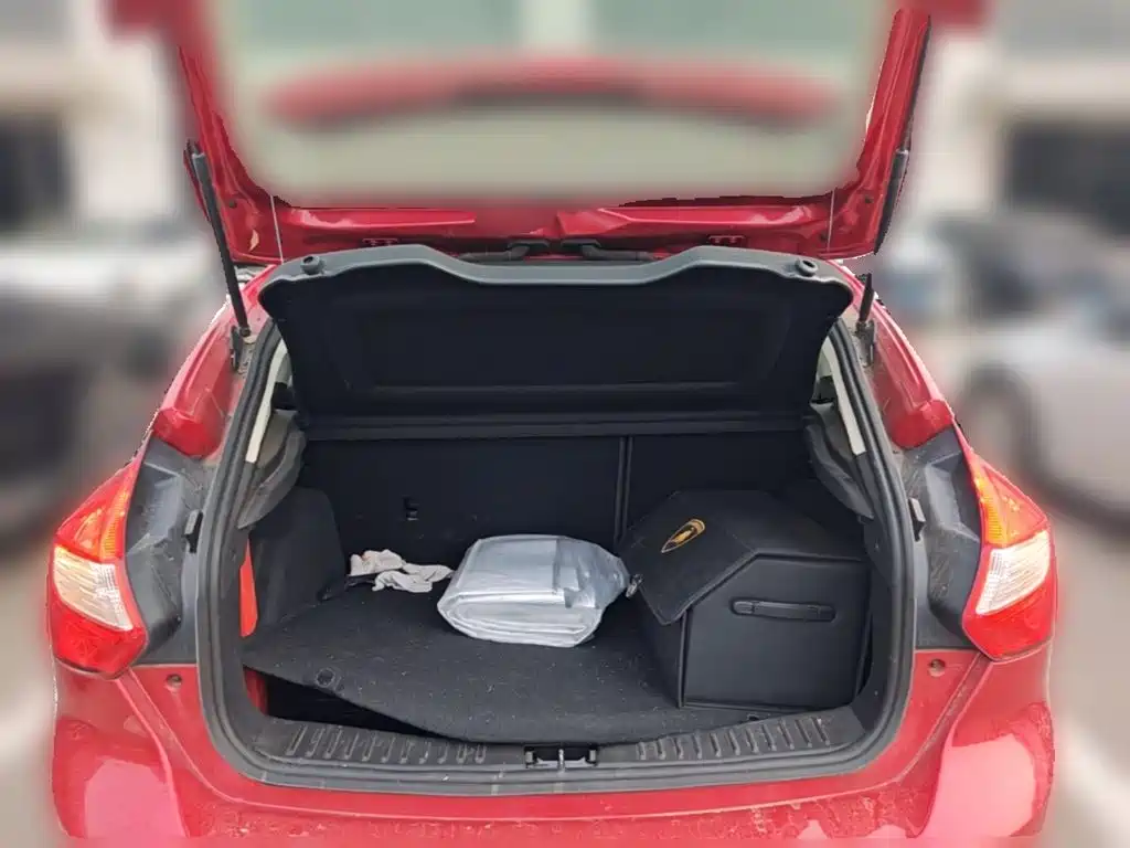 Ford Focus — миниатюра 24