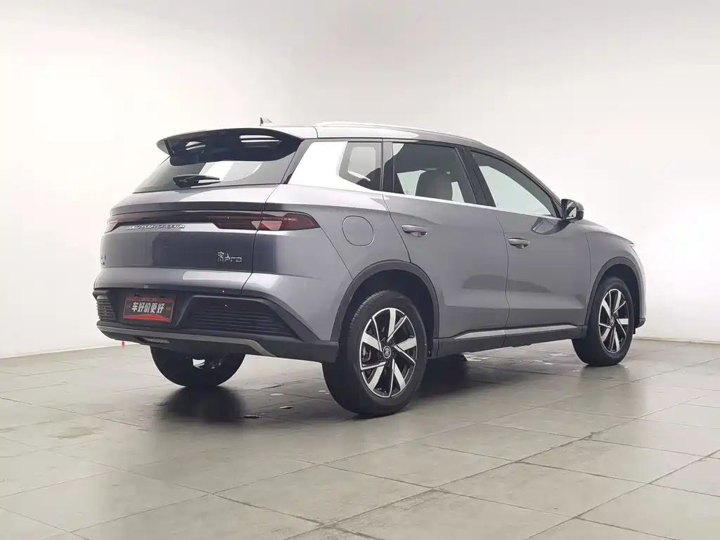 BYD Pro New Energy — миниатюра 2