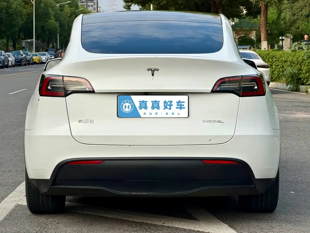 Tesla Model Y — миниатюра 5