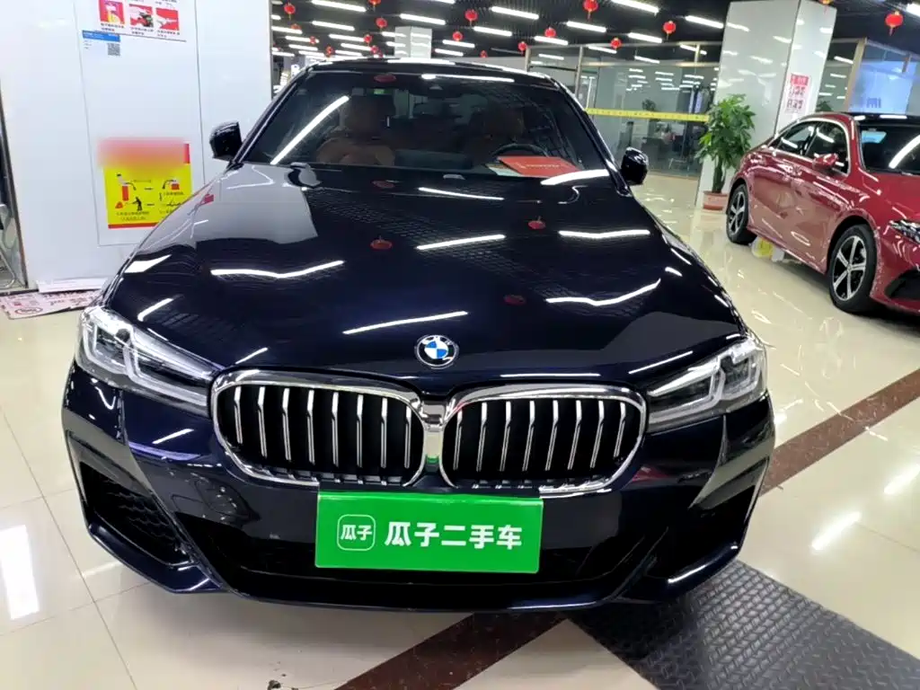 BMW 5 Series (Import) — миниатюра 3