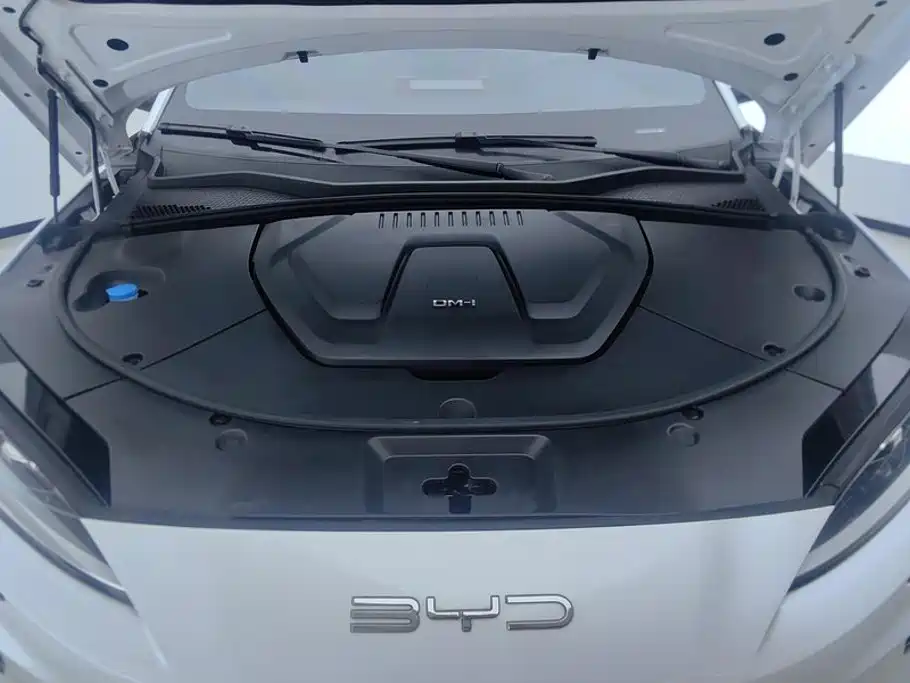 BYD PLUS New Energy — миниатюра 10