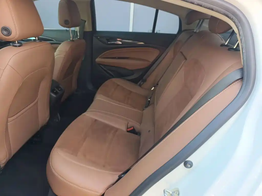 Buick Regal — миниатюра 17