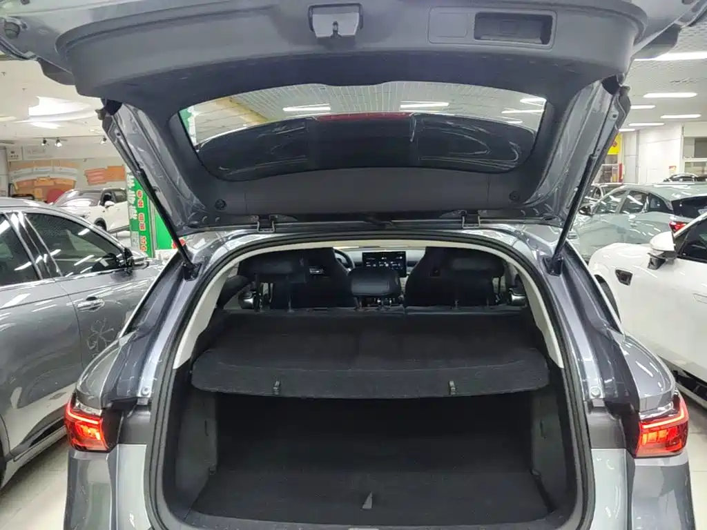 BYD Yuan Plus — миниатюра 19