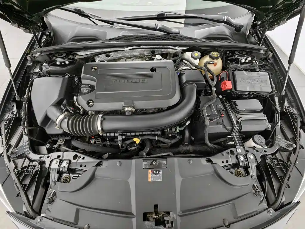 Buick Regal — миниатюра 6