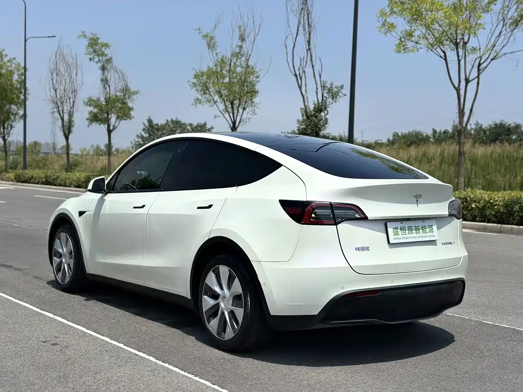 Tesla Model Y — фотографии объявления, Фото 10