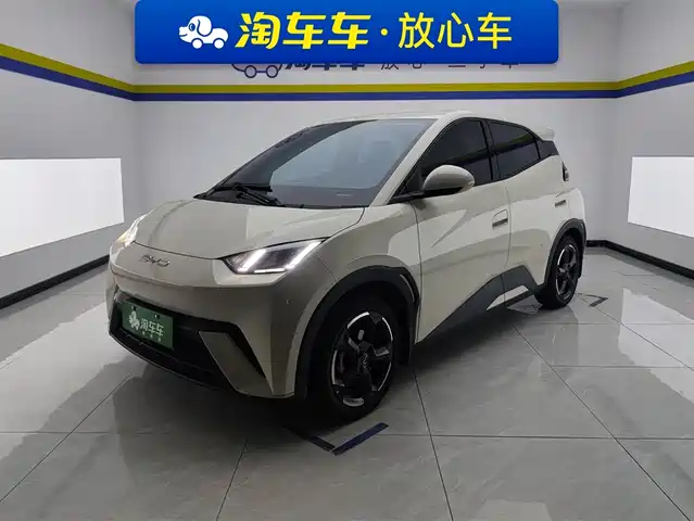 2024 BYD Seagull
