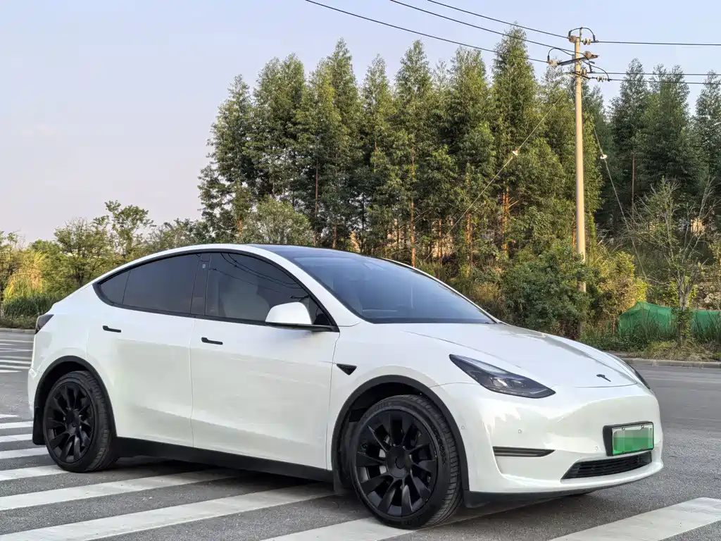 Tesla Model Y — миниатюра 4