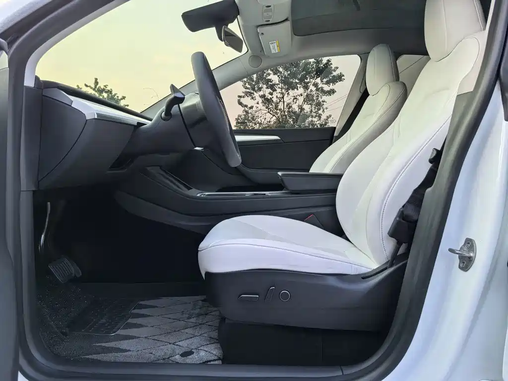 Tesla Model Y — миниатюра 6