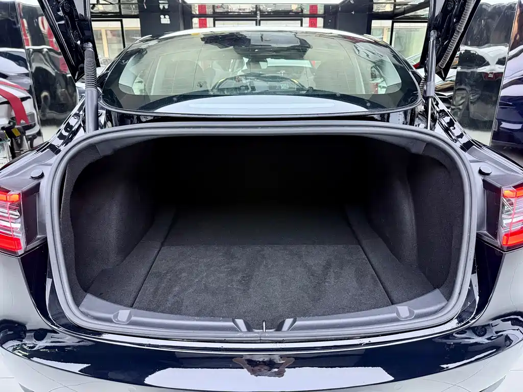 Tesla Model 3 — миниатюра 13