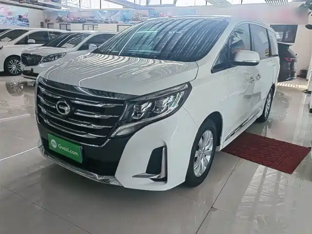 2020 GAC GN8