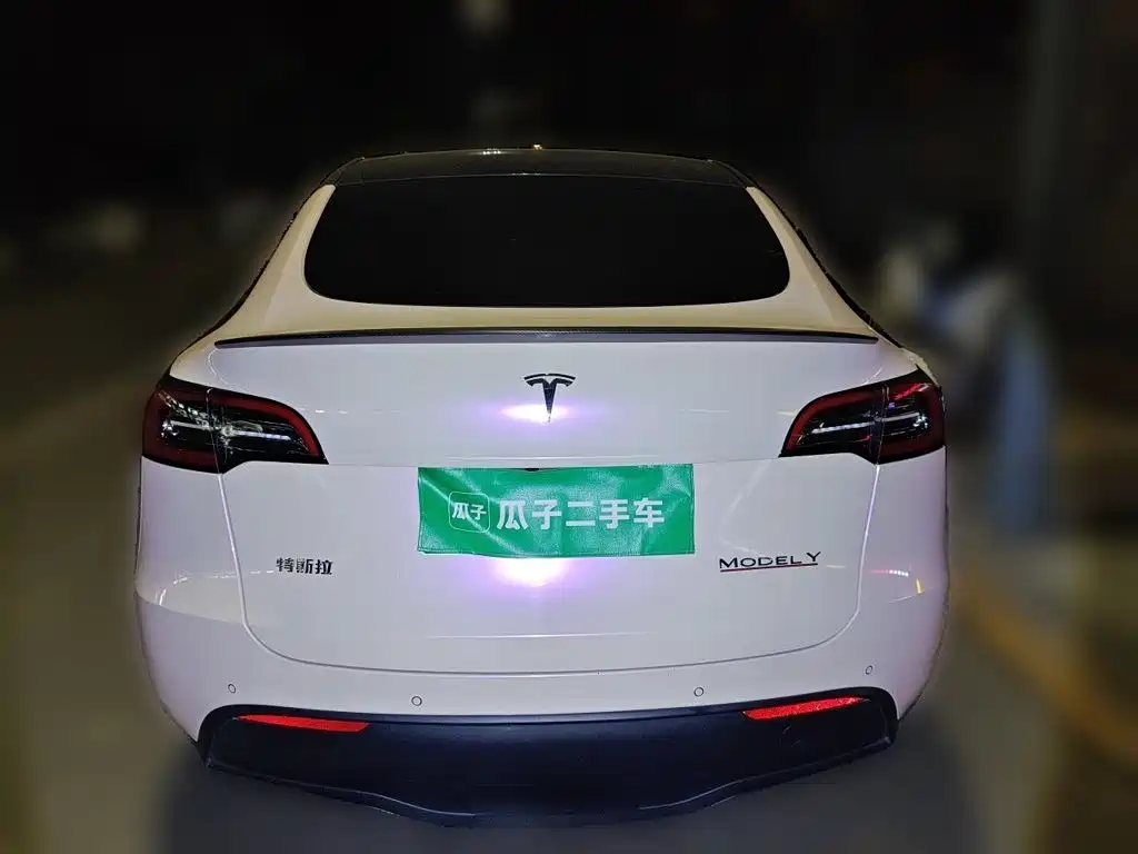 Tesla Model Y — миниатюра 3