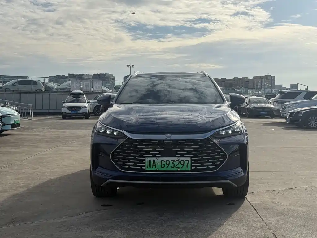 BYD Tang New Energy — миниатюра 2