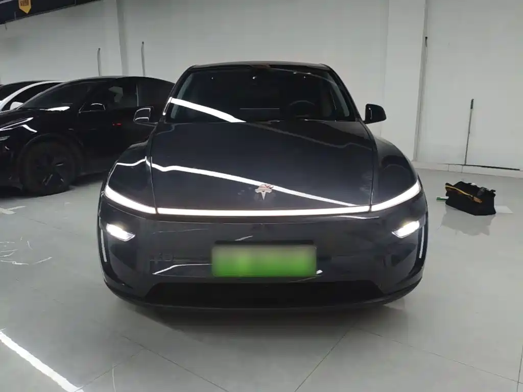 Tesla Model Y — миниатюра 3