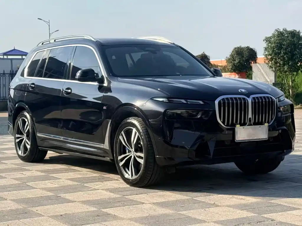 BMW X7 — миниатюра 3