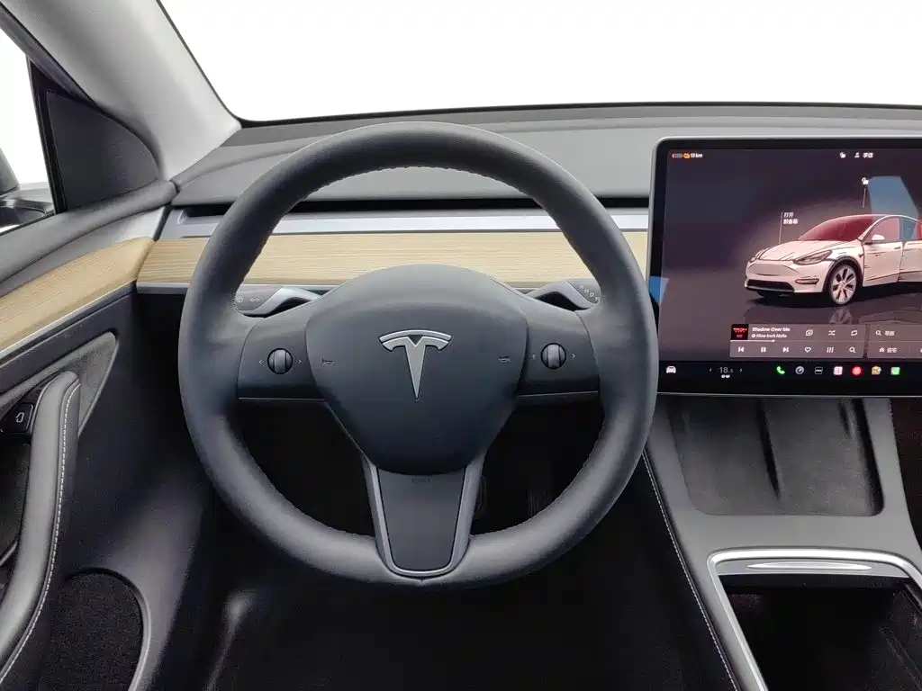 Tesla Model Y — миниатюра 11