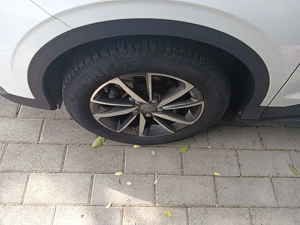 Geely Binyue — миниатюра 23