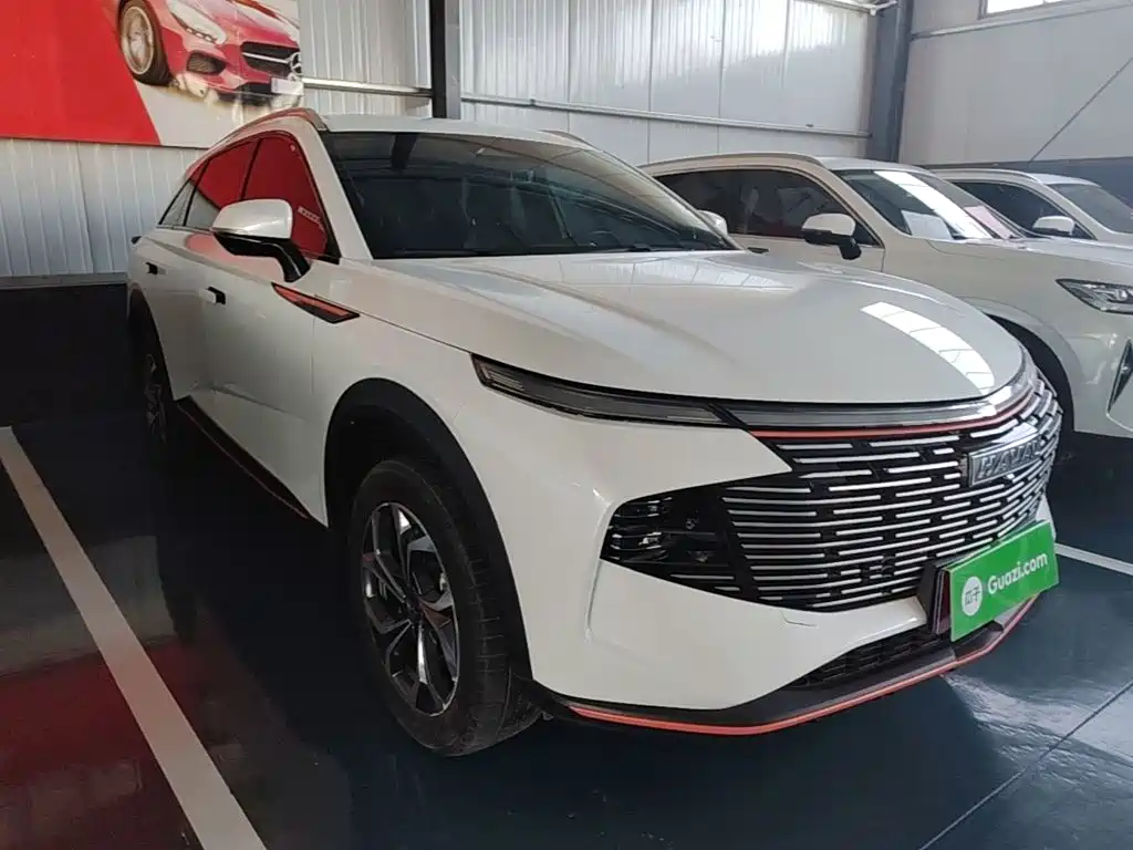 Haval Shenshou — миниатюра 4