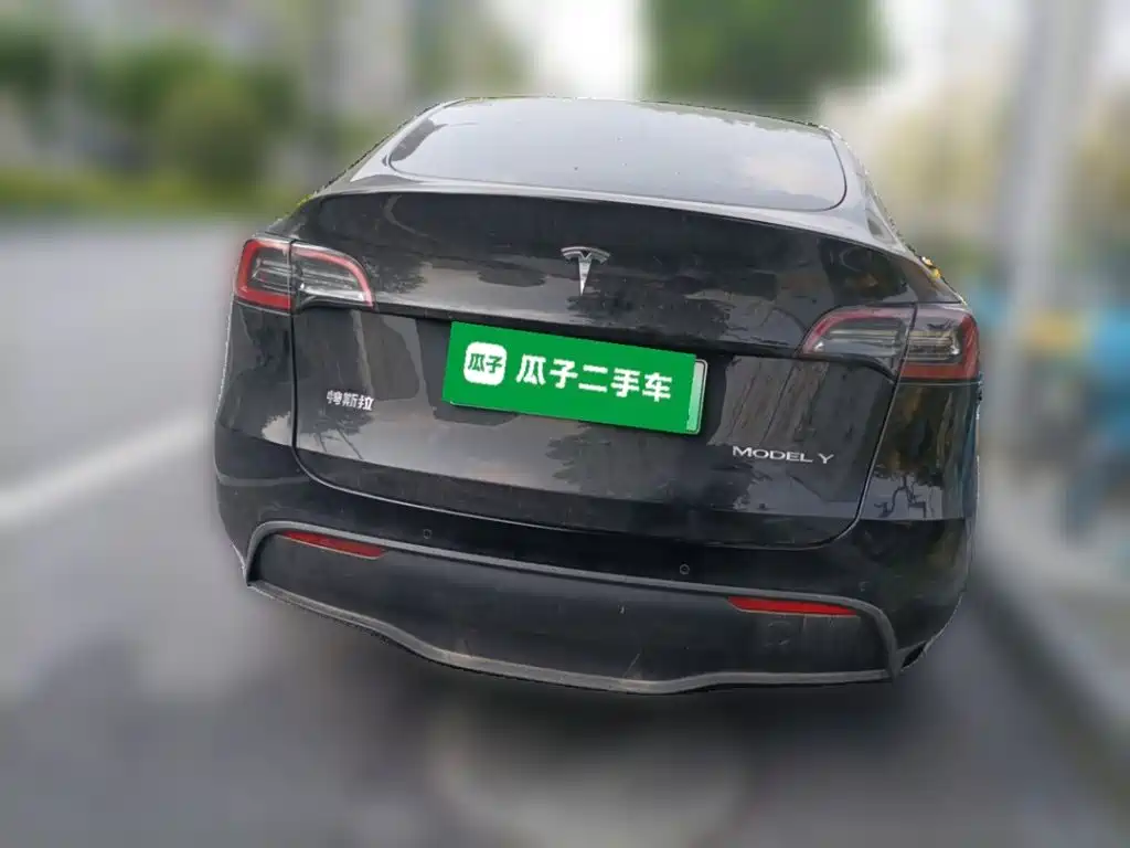 Tesla Model Y — миниатюра 3