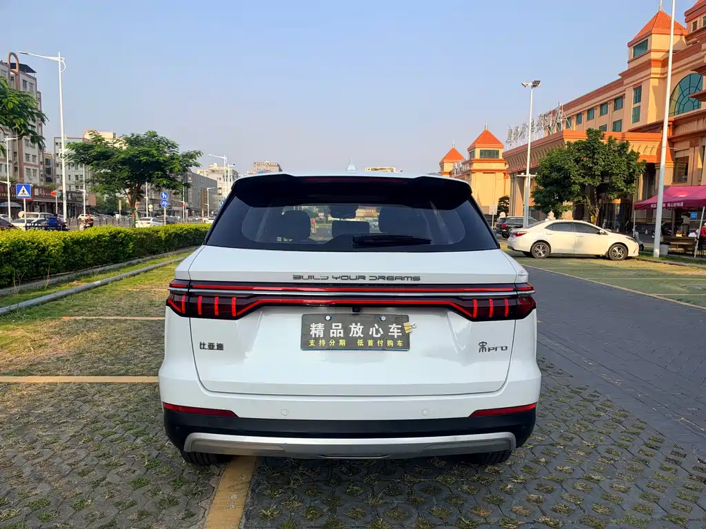 BYD Pro — миниатюра 5
