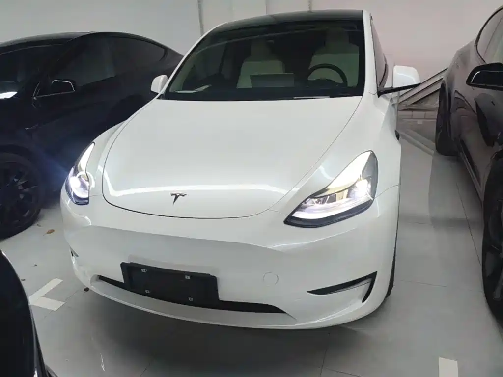 Tesla Model Y — миниатюра 3
