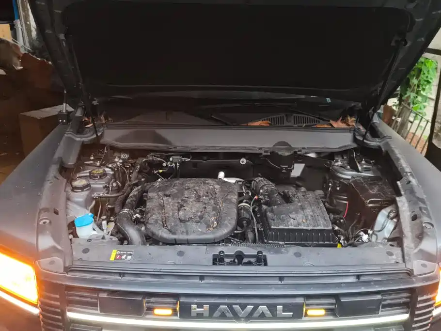 Haval Menglong New Energy — миниатюра 10