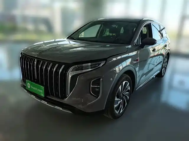 2024 Hongqi HS7