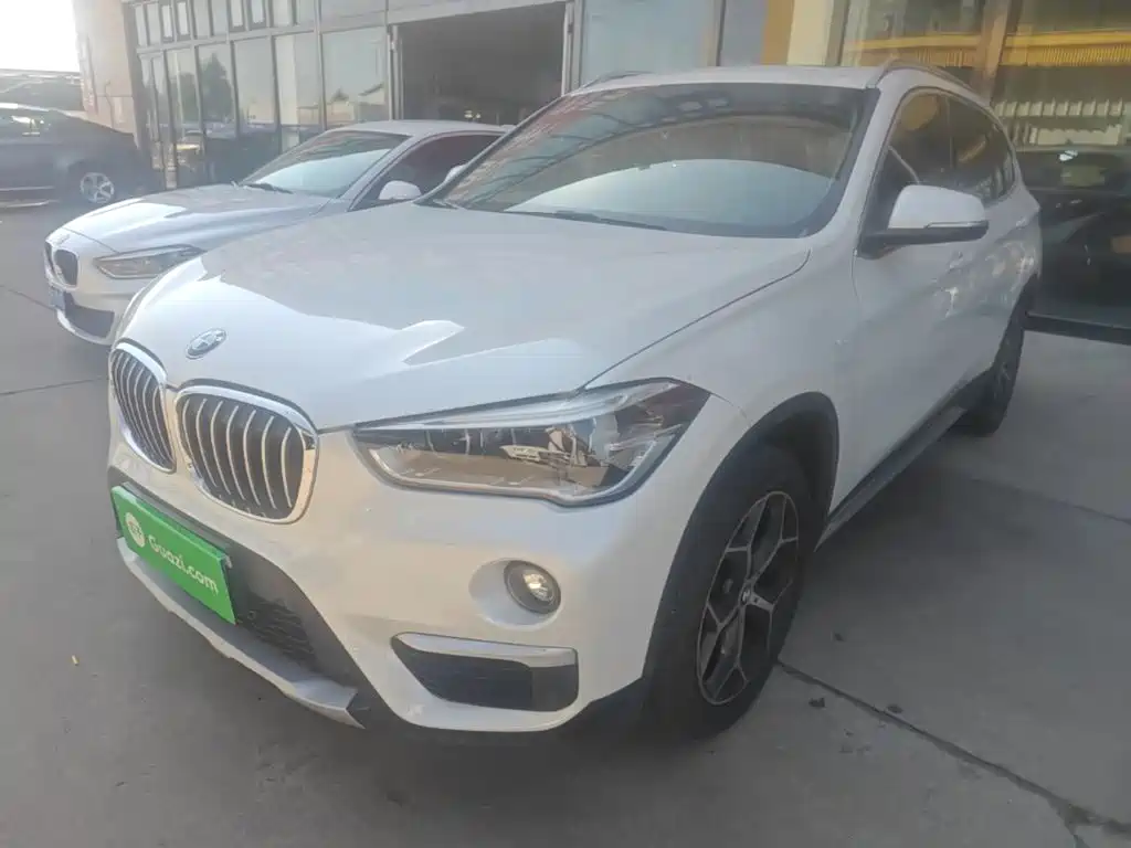 BMW X1 — миниатюра 2