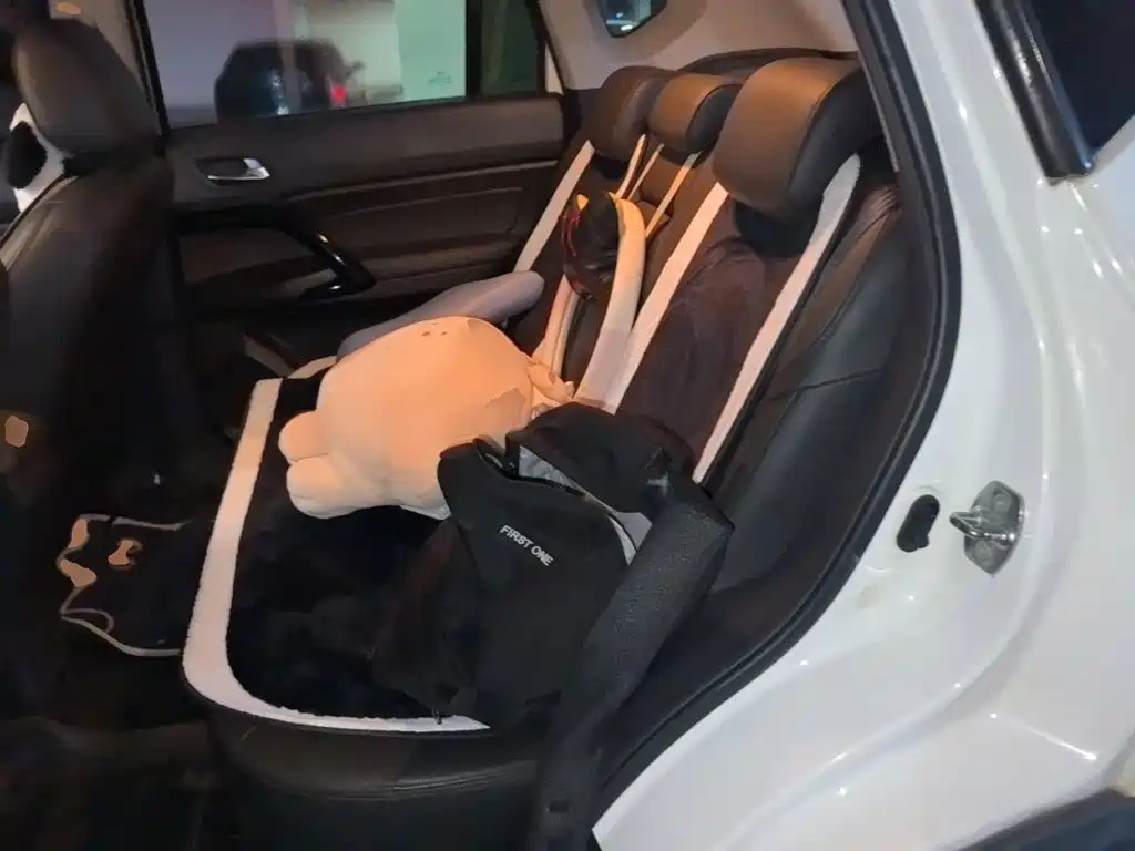 GAC Motor Trumpchi GS4 — миниатюра 15