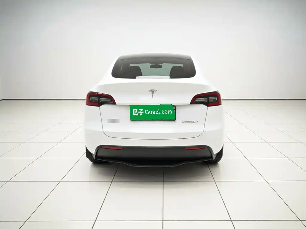 Tesla Model Y — миниатюра 5