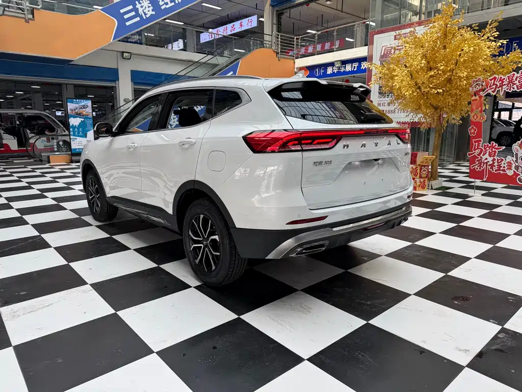 HAVAL H6