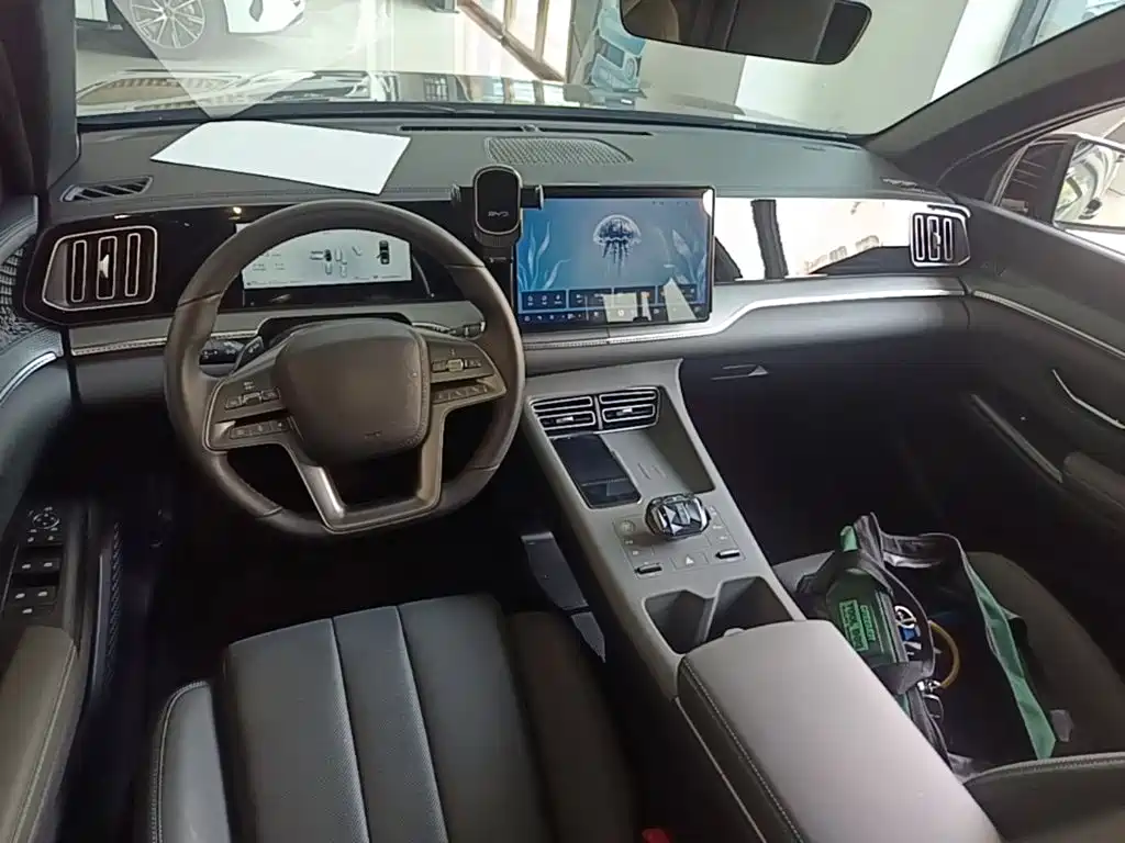 BYD Pro New Energy — миниатюра 10
